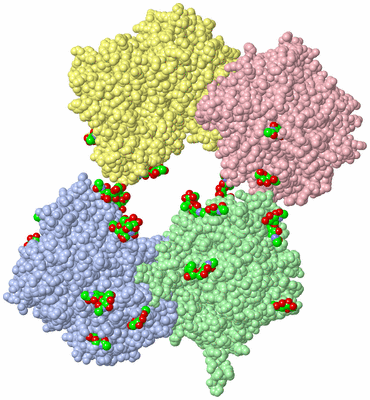 Image Biological Unit 3