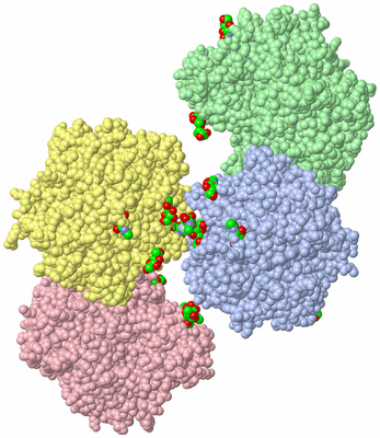 Image Biological Unit 4