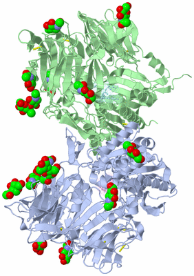 Image Biological Unit 1