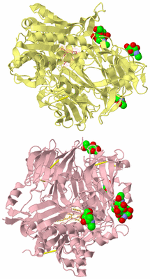 Image Biological Unit 2