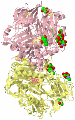 Image Biological Unit 3