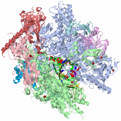 Image Asym./Biol. Unit