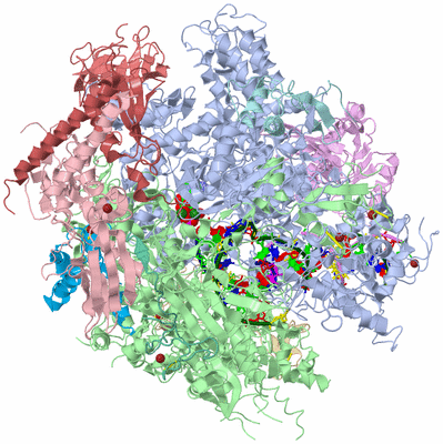 Image Asym./Biol. Unit