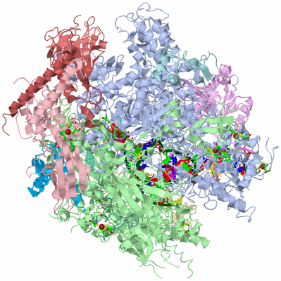 Image Asym./Biol. Unit - sites