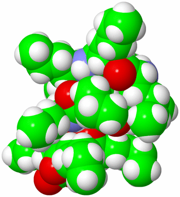 Image NMR Structure - model 1