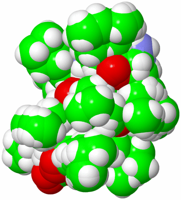 Image NMR Structure - all models