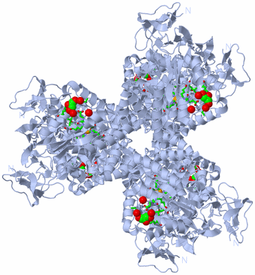 Image Biol. Unit 1 - sites