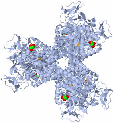 Image Biological Unit 1