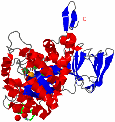 Image Asym. Unit - sites