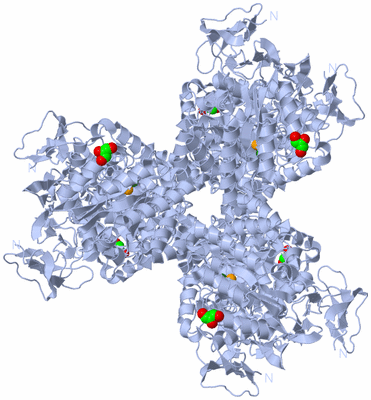 Image Biological Unit 1