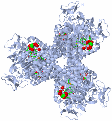 Image Biol. Unit 1 - sites