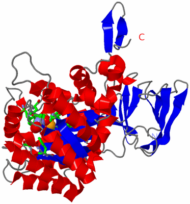 Image Asym. Unit - sites