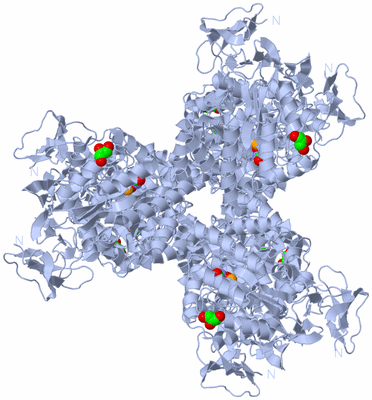 Image Biological Unit 1