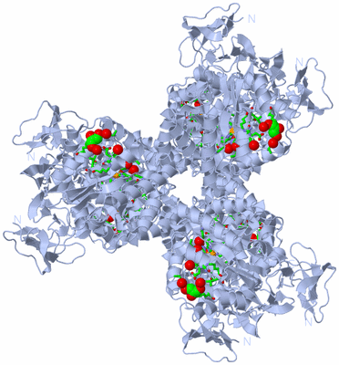 Image Biol. Unit 1 - sites