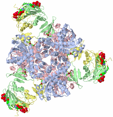 Image Biol. Unit 1 - sites