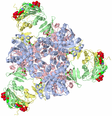 Image Biol. Unit 1 - sites