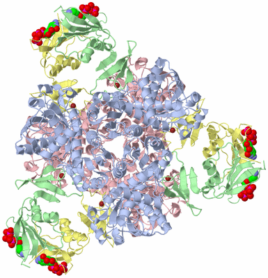 Image Biological Unit 1