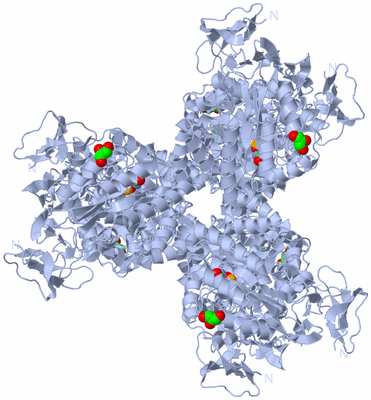 Image Biological Unit 1