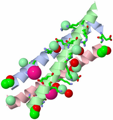 Image Asym./Biol. Unit - sites