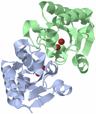 Image Asym./Biol. Unit