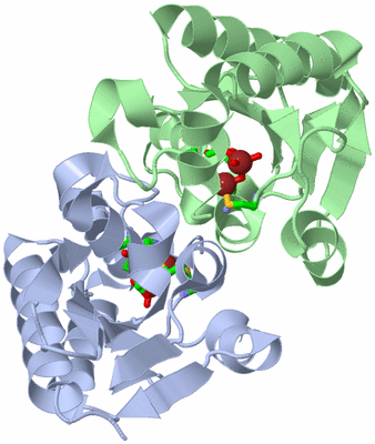 Image Asym./Biol. Unit - sites