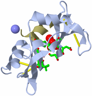 Image Biol. Unit 1 - sites