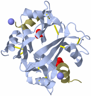 Image Biological Unit 2