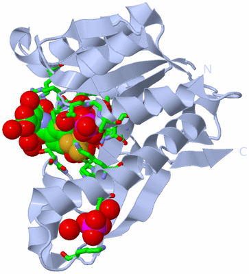 Image Biol. Unit 1 - sites