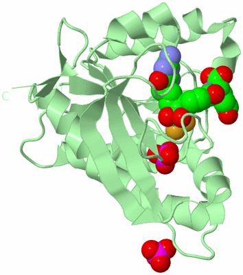 Image Biological Unit 2