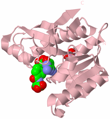 Image Biological Unit 3