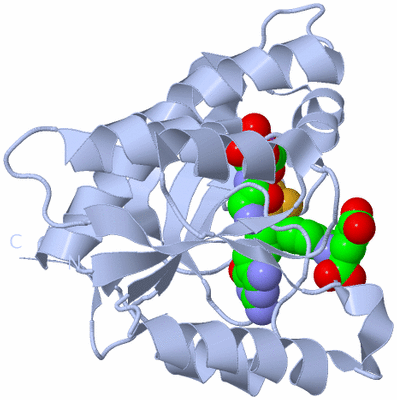 Image Biological Unit 1