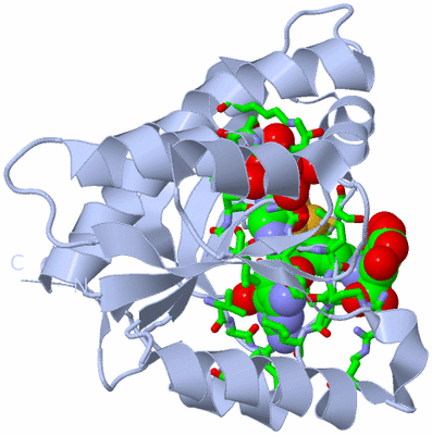 Image Biol. Unit 1 - sites