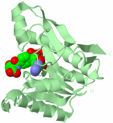 Image Biological Unit 2