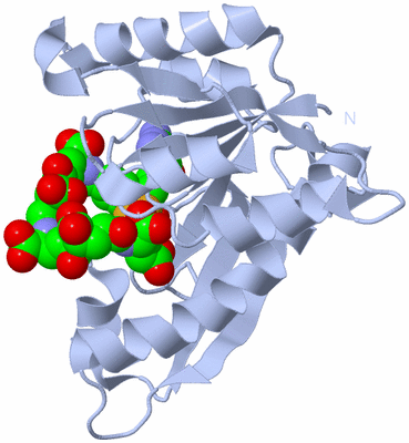 Image Biological Unit 1