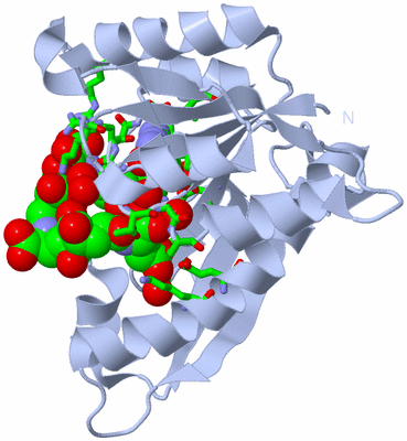 Image Biol. Unit 1 - sites