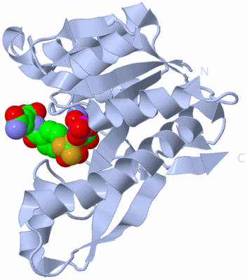 Image Biological Unit 1