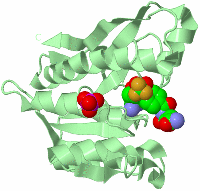 Image Biological Unit 2