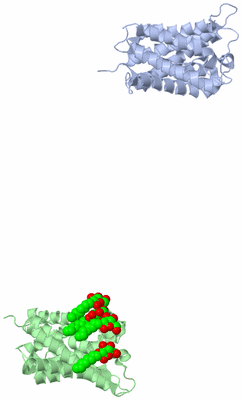 Image Asymmetric Unit