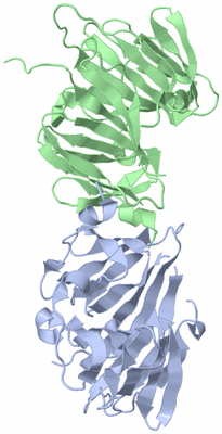 Image Asymmetric Unit