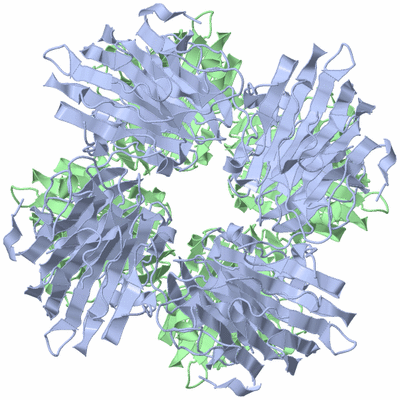 Image Biological Unit 3