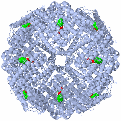 Image Biological Unit 1