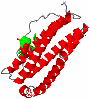 Image Asym. Unit - sites