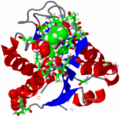 Image Asym./Biol. Unit - sites