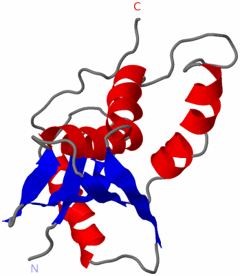 Image NMR Structure - model 1