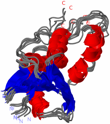 Image NMR Structure - all models