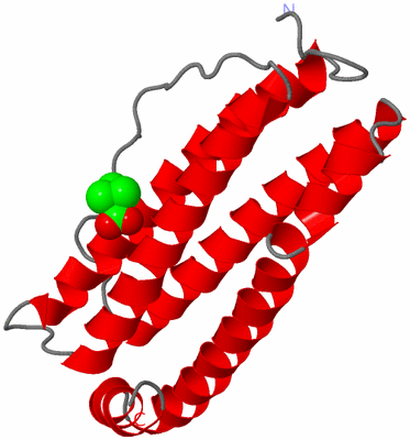 Image Asymmetric Unit