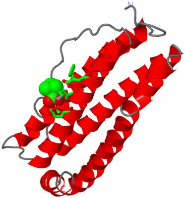 Image Asym. Unit - sites