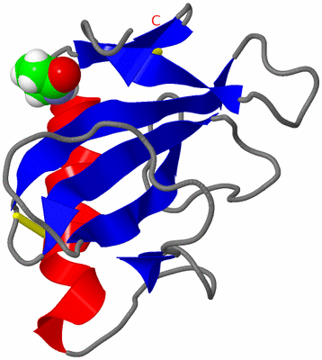 Image NMR Structure - model 1
