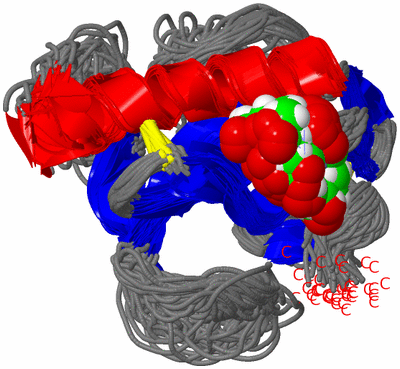 Image NMR Structure - all models