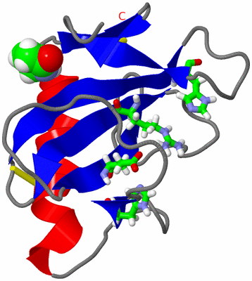 Image NMR Structure - model 1, sites